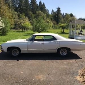 Meet your Posher, Liam